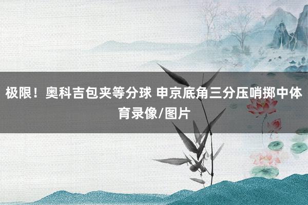 极限！奥科吉包夹等分球 申京底角三分压哨掷中体育录像/图片