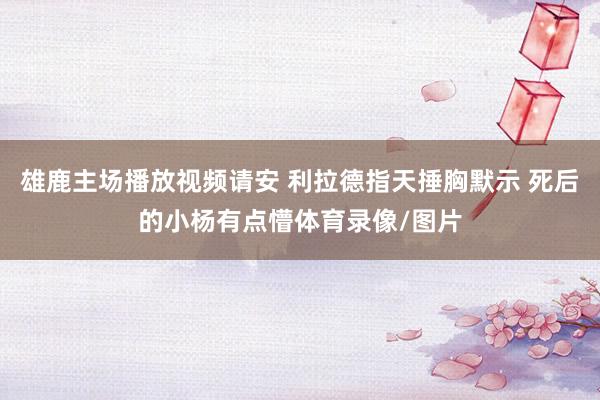 雄鹿主场播放视频请安 利拉德指天捶胸默示 死后的小杨有点懵体育录像/图片