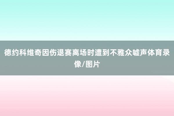 德约科维奇因伤退赛离场时遭到不雅众嘘声体育录像/图片