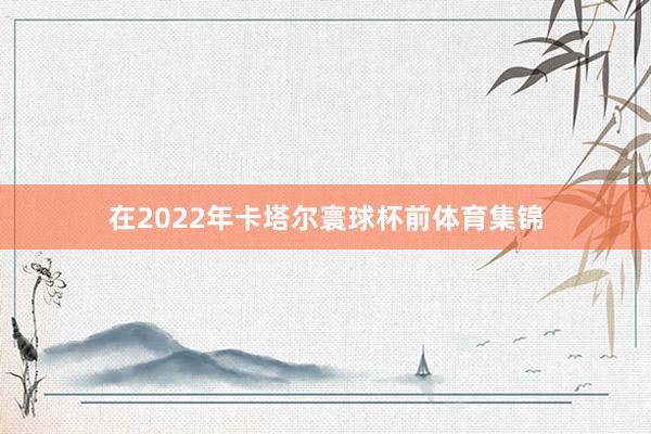 在2022年卡塔尔寰球杯前体育集锦