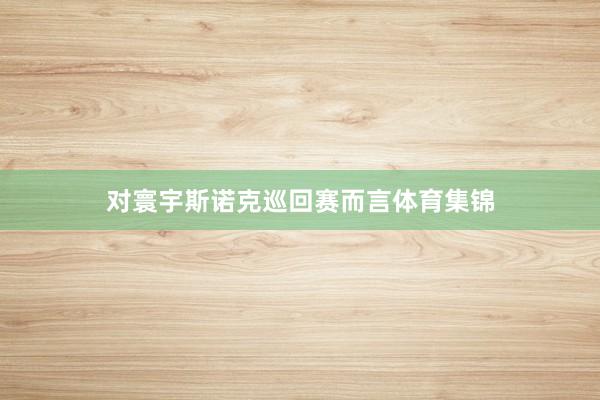 对寰宇斯诺克巡回赛而言体育集锦