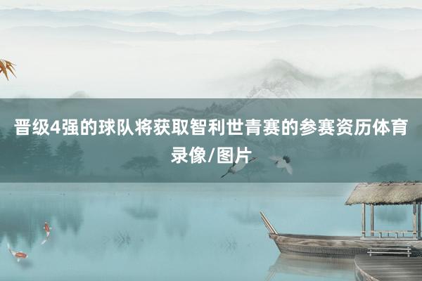 晋级4强的球队将获取智利世青赛的参赛资历体育录像/图片