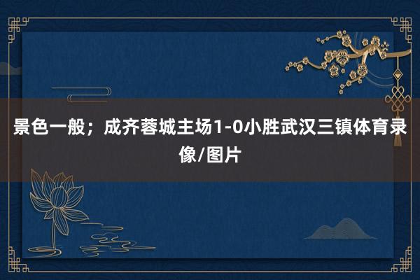 景色一般；成齐蓉城主场1-0小胜武汉三镇体育录像/图片