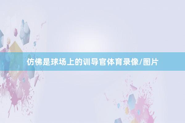 仿佛是球场上的训导官体育录像/图片