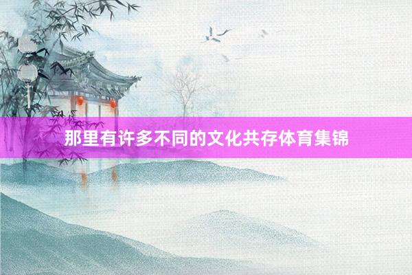 那里有许多不同的文化共存体育集锦