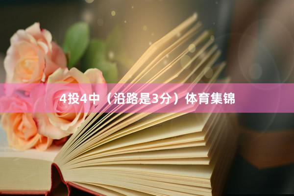 4投4中（沿路是3分）体育集锦