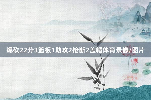 爆砍22分3篮板1助攻2抢断2盖帽体育录像/图片