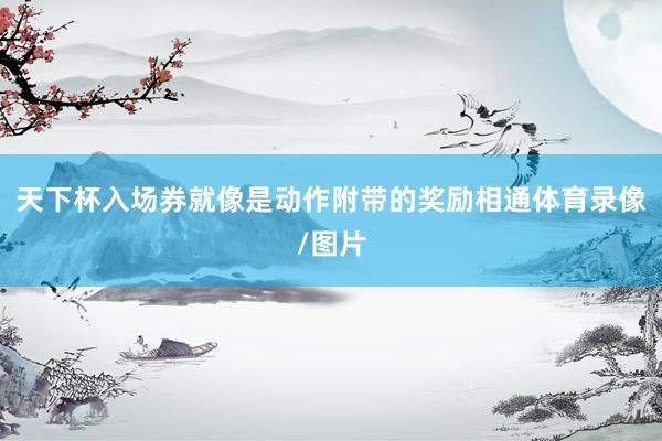 天下杯入场券就像是动作附带的奖励相通体育录像/图片