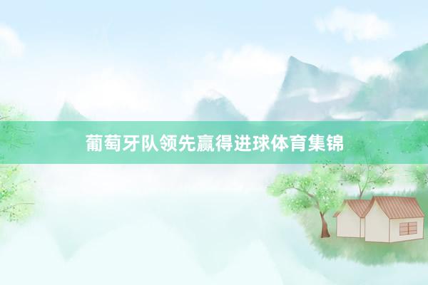 葡萄牙队领先赢得进球体育集锦