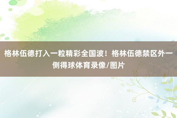 格林伍德打入一粒精彩全国波！格林伍德禁区外一侧得球体育录像/图片