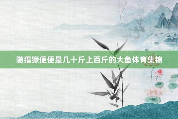 随猖獗便便是几十斤上百斤的大鱼体育集锦