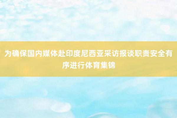 为确保国内媒体赴印度尼西亚采访报谈职责安全有序进行体育集锦