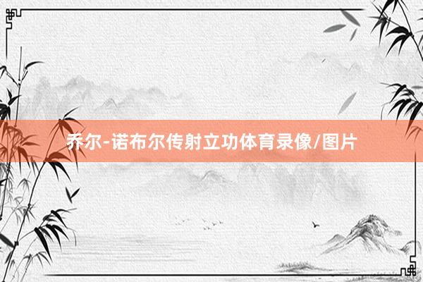 乔尔-诺布尔传射立功体育录像/图片