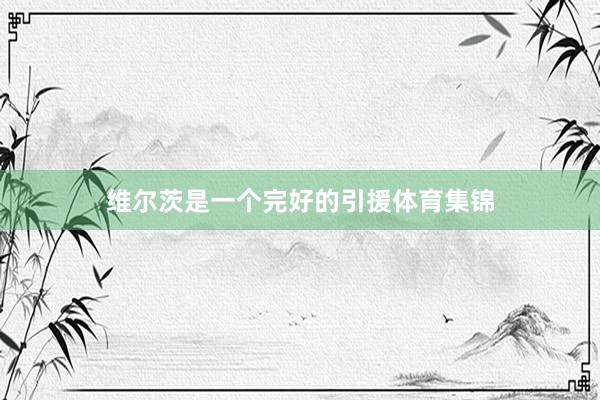 维尔茨是一个完好的引援体育集锦
