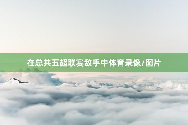 在总共五超联赛敌手中体育录像/图片