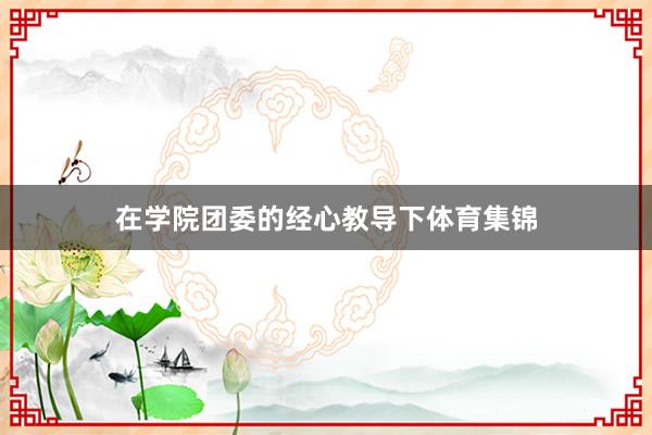 在学院团委的经心教导下体育集锦