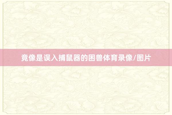 竟像是误入捕鼠器的困兽体育录像/图片