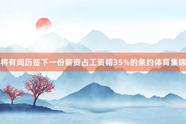 将有阅历签下一份薪资占工资帽35%的条约体育集锦