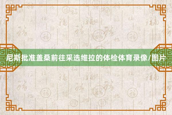 尼斯批准盖桑前往采选维拉的体检体育录像/图片