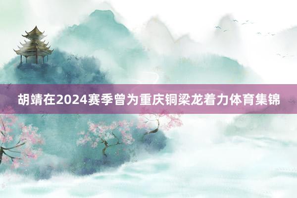 胡靖在2024赛季曾为重庆铜梁龙着力体育集锦