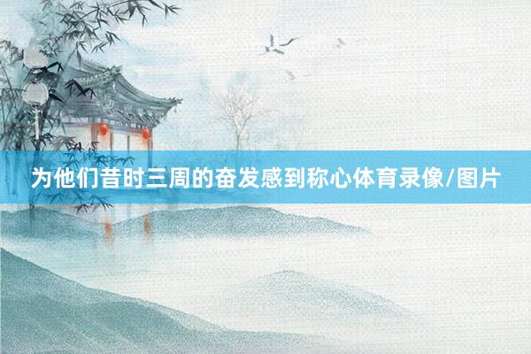 为他们昔时三周的奋发感到称心体育录像/图片