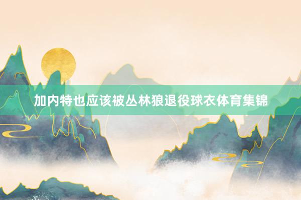 加内特也应该被丛林狼退役球衣体育集锦