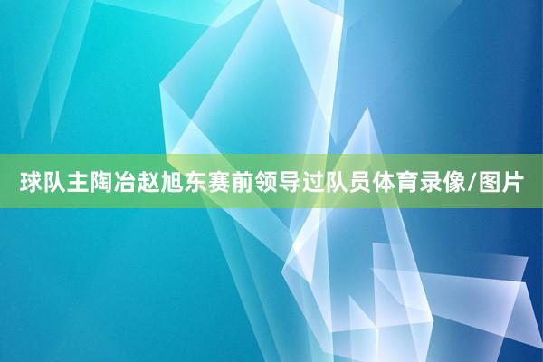 球队主陶冶赵旭东赛前领导过队员体育录像/图片