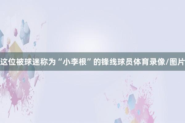 这位被球迷称为“小李根”的锋线球员体育录像/图片