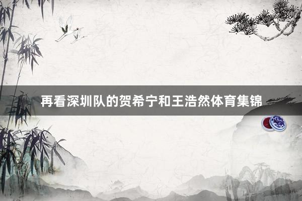 再看深圳队的贺希宁和王浩然体育集锦
