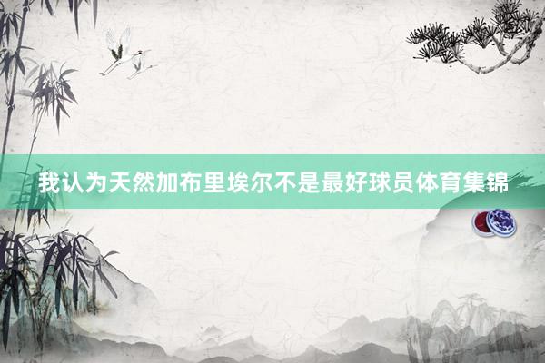 我认为天然加布里埃尔不是最好球员体育集锦