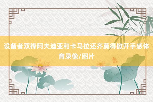 设备者双锋阿夫迪亚和卡马拉还齐莫得掀开手感体育录像/图片