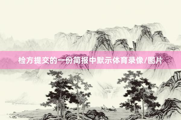 检方提交的一份简报中默示体育录像/图片