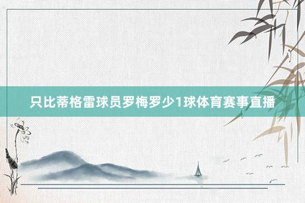 只比蒂格雷球员罗梅罗少1球体育赛事直播
