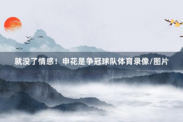 就没了情感！申花是争冠球队体育录像/图片