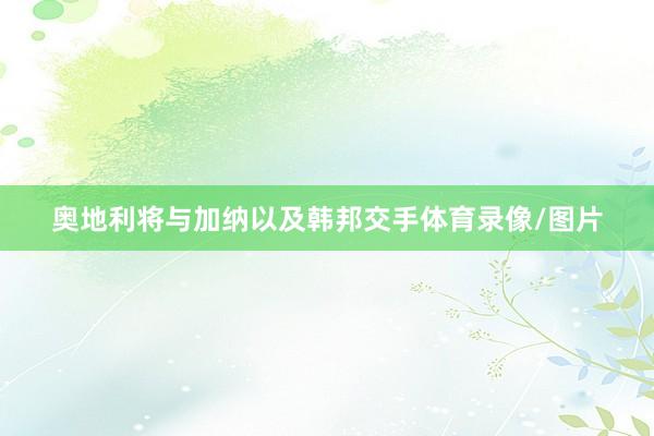 奥地利将与加纳以及韩邦交手体育录像/图片