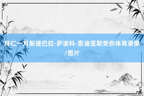 拜仁一月新援巴拉·萨波科·恩迪亚耶受伤体育录像/图片