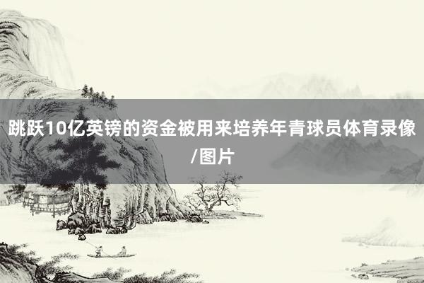 跳跃10亿英镑的资金被用来培养年青球员体育录像/图片