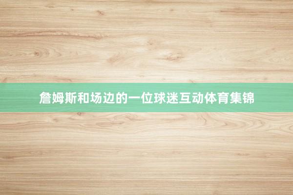 詹姆斯和场边的一位球迷互动体育集锦