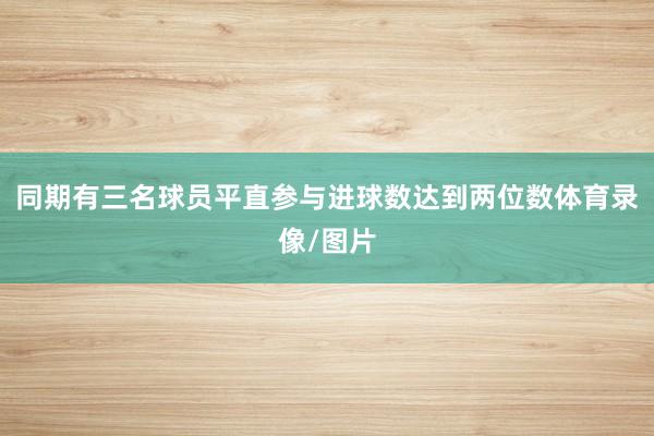 同期有三名球员平直参与进球数达到两位数体育录像/图片