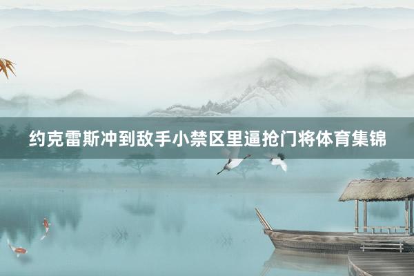 约克雷斯冲到敌手小禁区里逼抢门将体育集锦