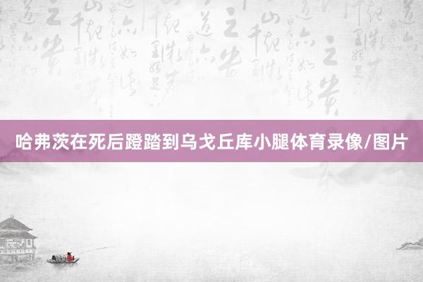 哈弗茨在死后蹬踏到乌戈丘库小腿体育录像/图片