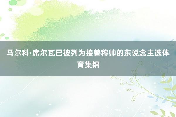 马尔科·席尔瓦已被列为接替穆帅的东说念主选体育集锦