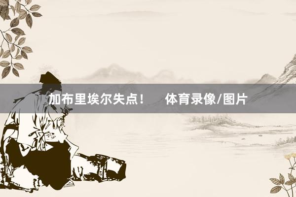 加布里埃尔失点！    体育录像/图片